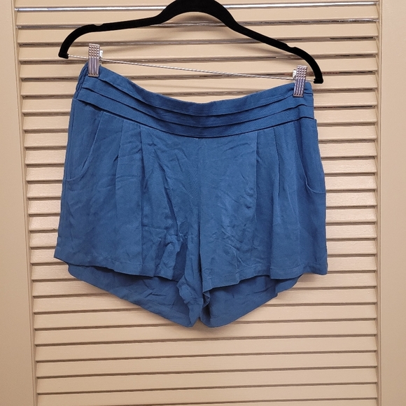 inluv Pants - InLuv shorts blue size large